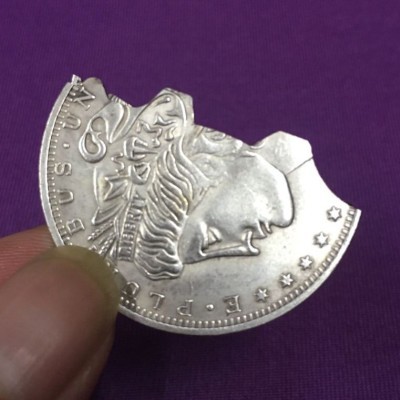 Morgan Dollar Bite Coin