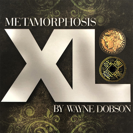 METAMORPHOSES XL  by Wayne Dobson